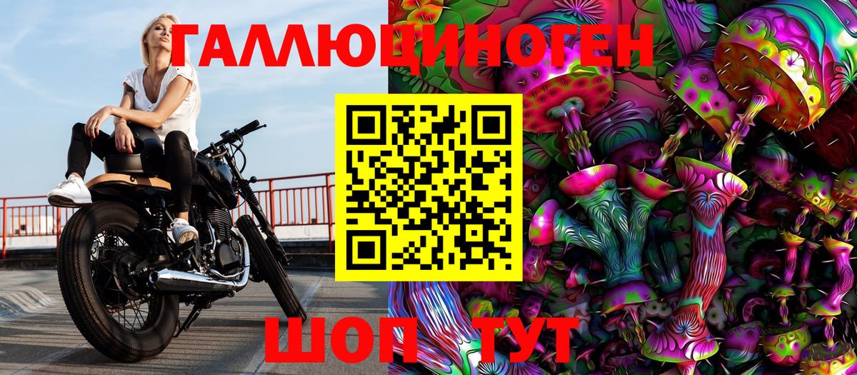 Галлюциногенные грибы Cubensis  Псилоцибиновые грибы прущие грибы  Новодвинск  Вход с VPN 