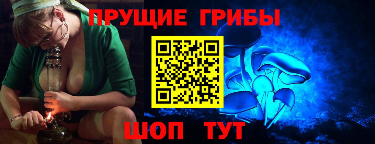 Галлюциногенные грибы мицелий Новодвинск