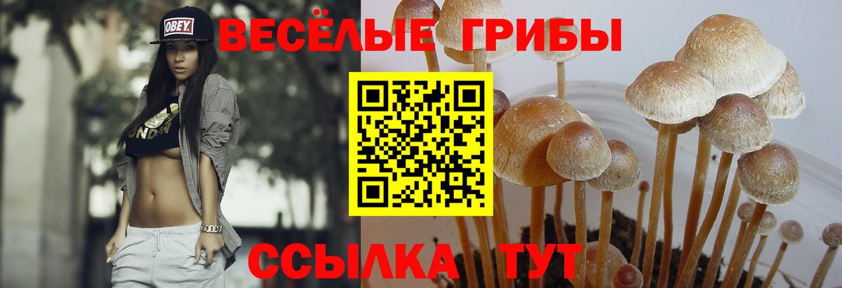 ГАШИШ  Новодвинск  Codein  COCAIN  Вход с VPN  ГАШИШ  Меф МЯУ МЯУ   APVP СК  